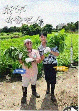释义图绘制过程照